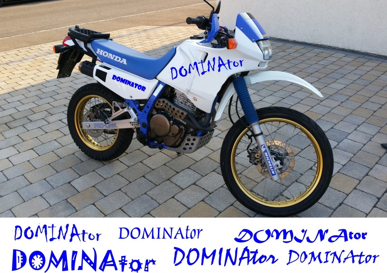 DOMINAtor-3-kl..jpg