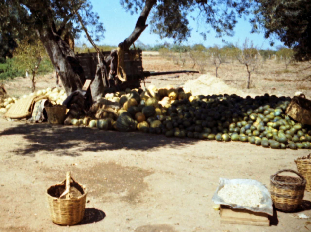 Melonenverkauf am Straßenrand