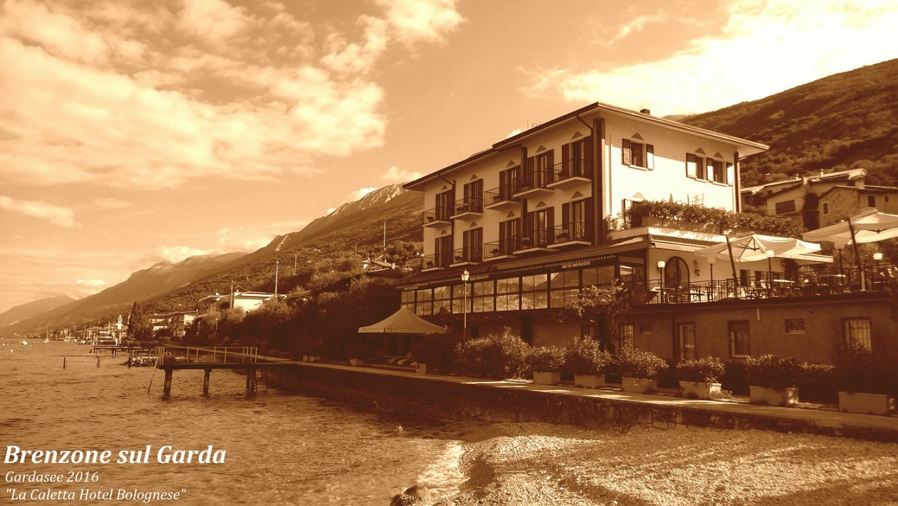 Kopie Sepia 2016 Gardasee.jpg