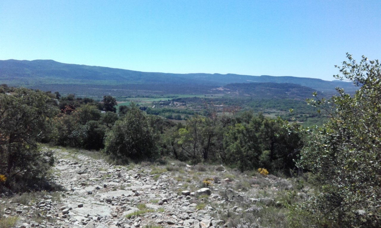 Cevennes...