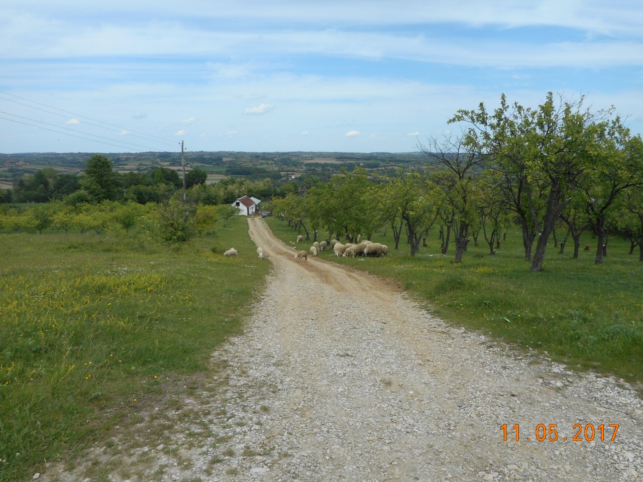 DSCN1263.JPG