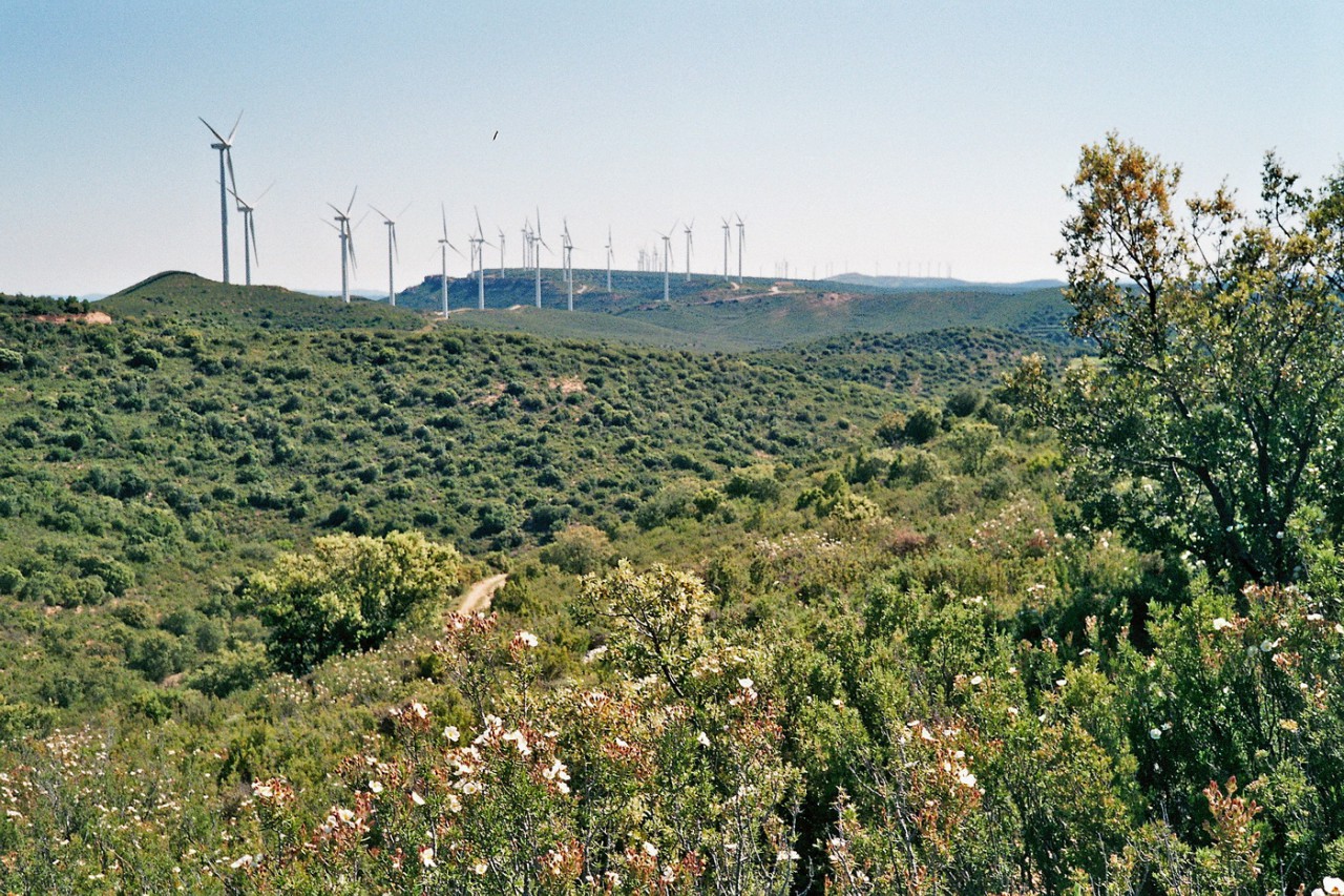 Windpark bei Mirambel