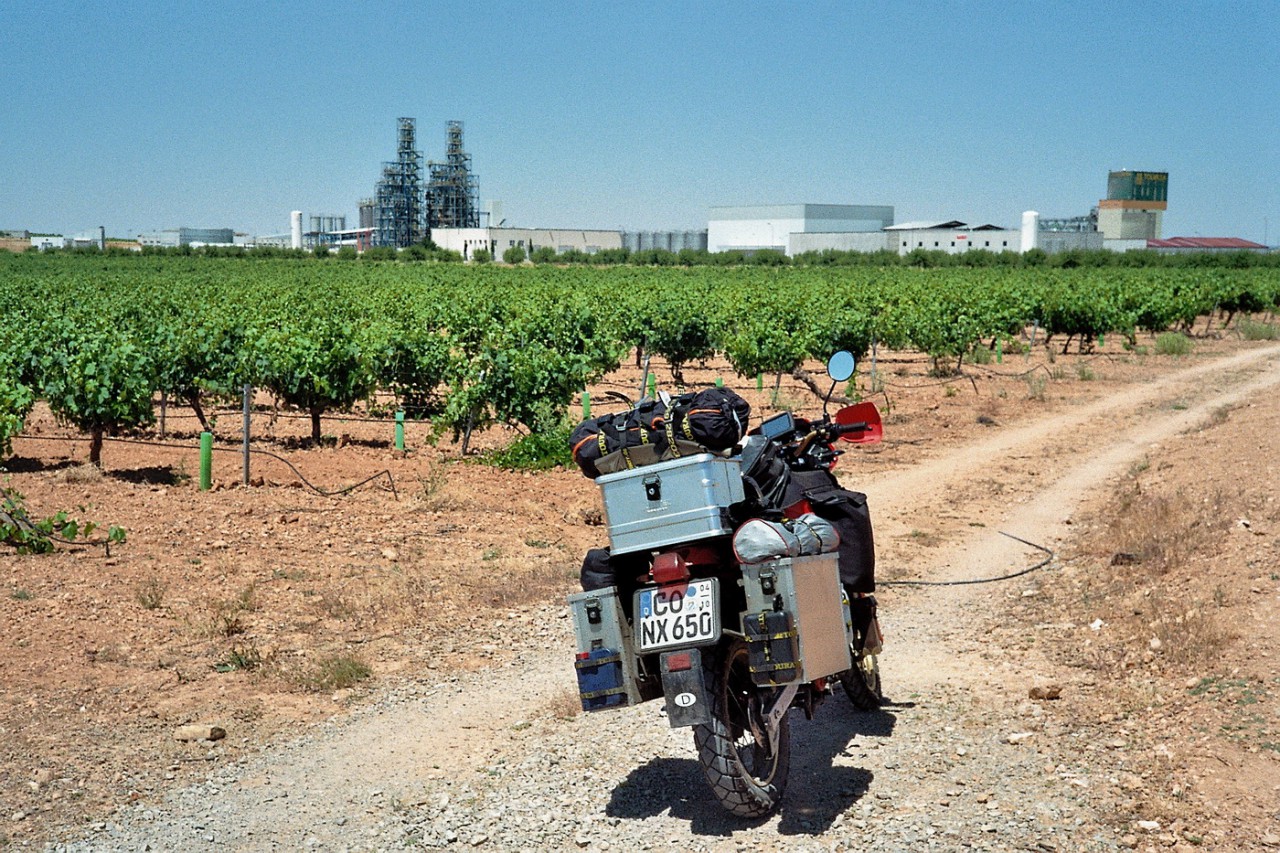 Wein-Monokultur vor Albacete