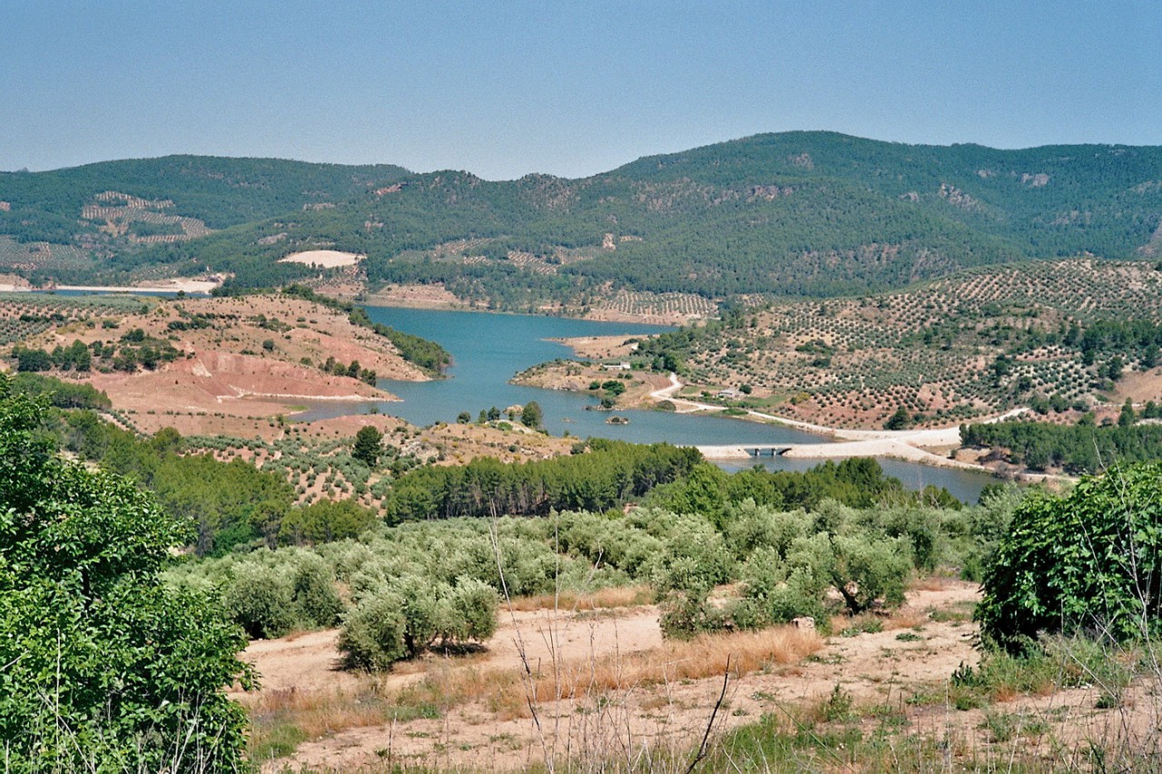 Olivenanbau am Rio Guadalimar