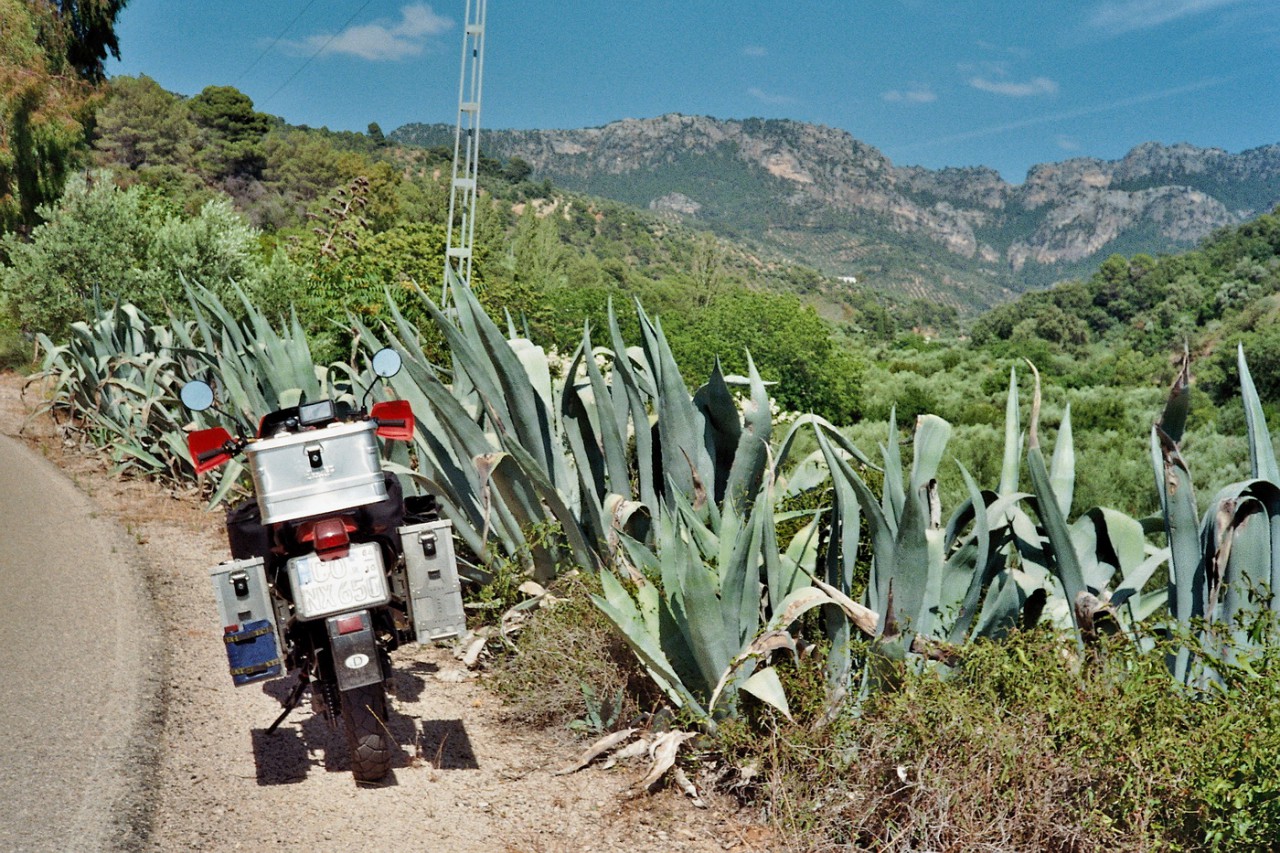 Hier wusste ich noch nicht, dass ich bald auf dem Gebirgskamm im Hintergrund Motorradfahren würde!