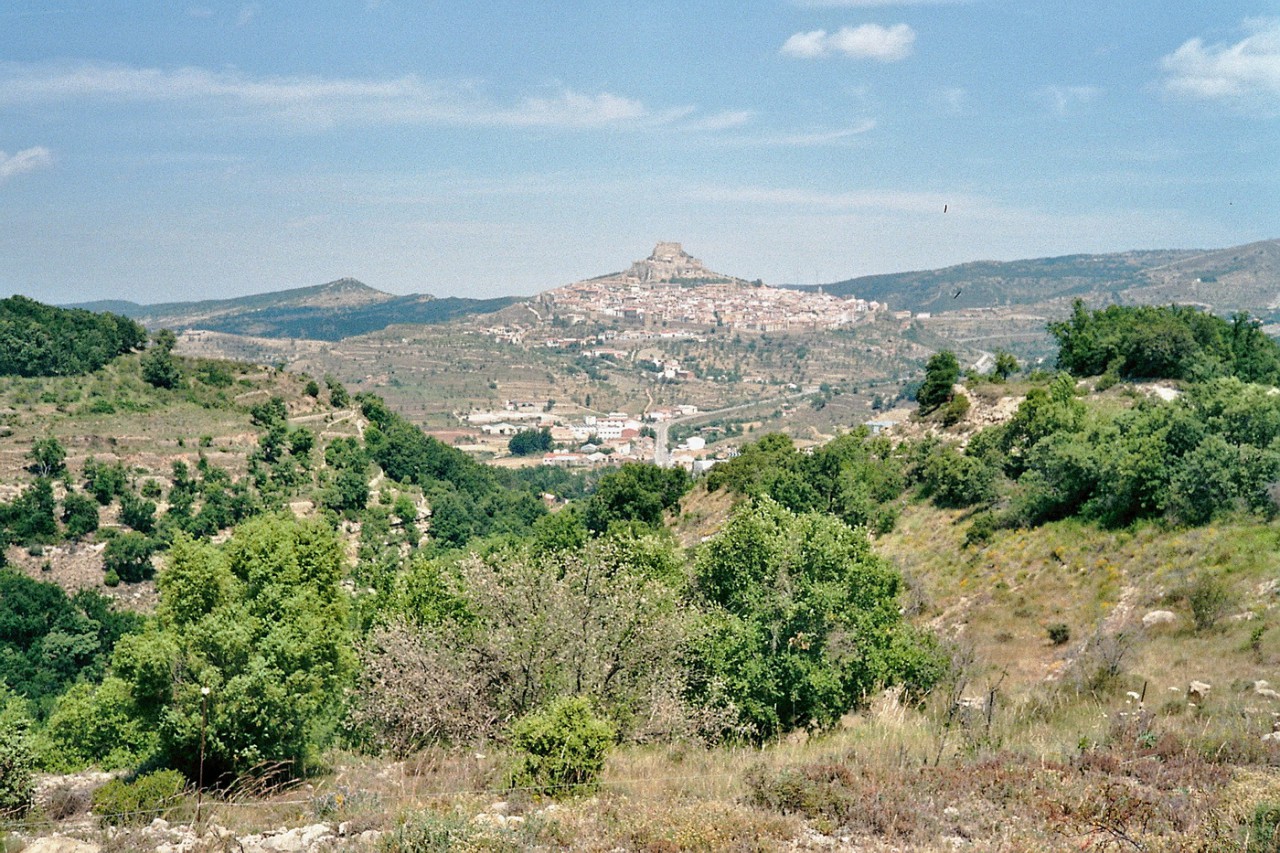 Morella