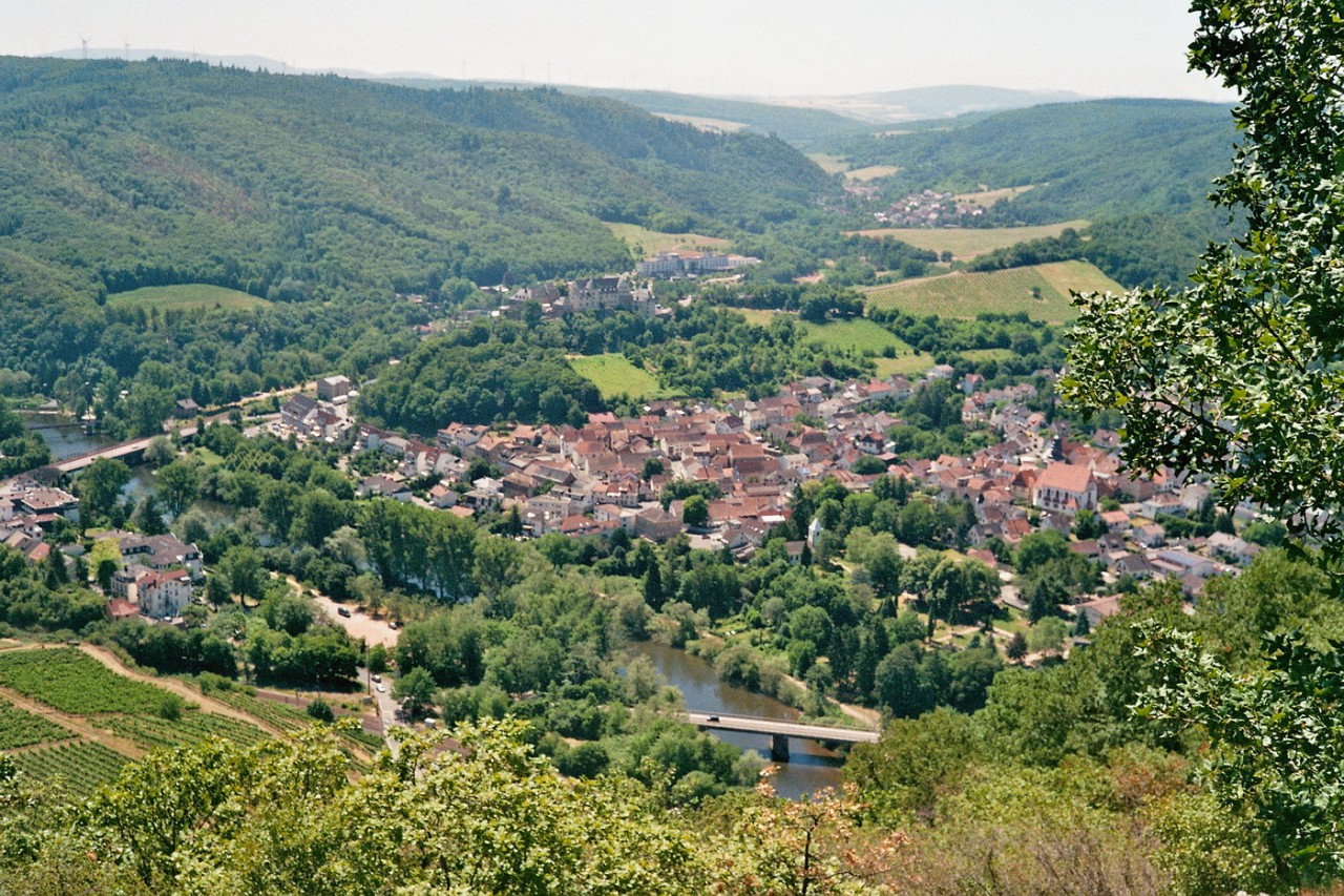 Im Pfälzer Wald