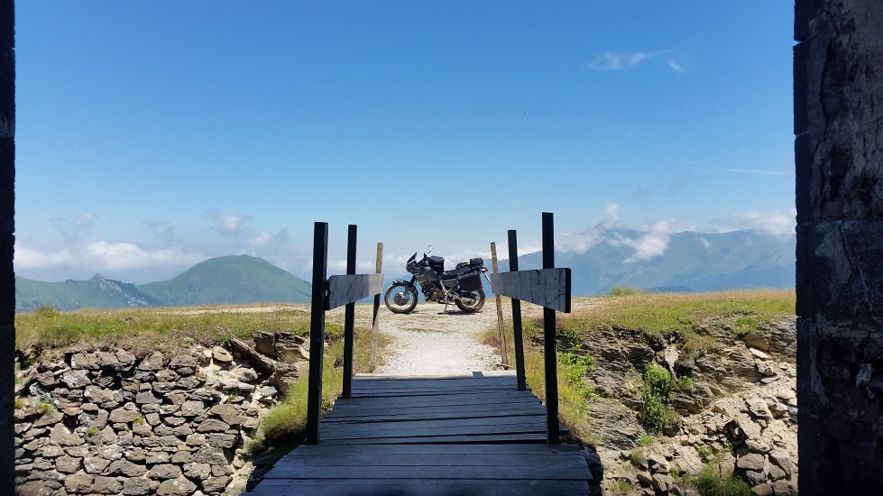 Rolfs Domi-Birdge.jpg