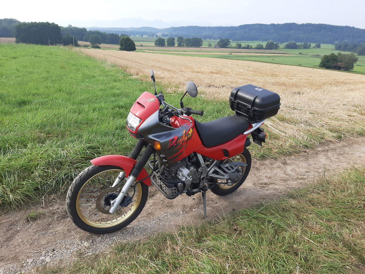 Die gute Domi. Mein erstes Motorrad die ich nun mehr als 6 Jahre hatte und einiges bezüglich Schrauben an ihr lernen konnte.