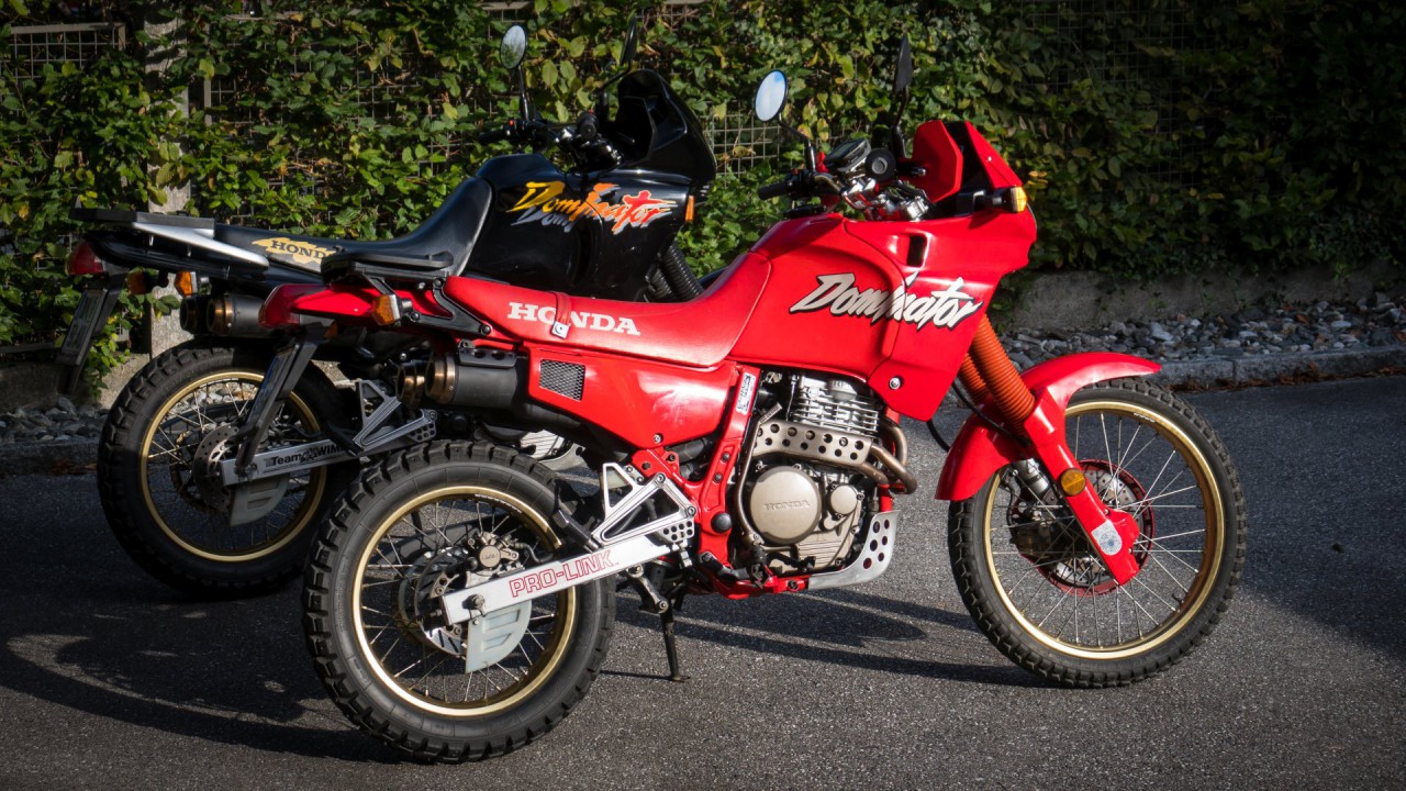 Dominator rot schwarz_5.jpg