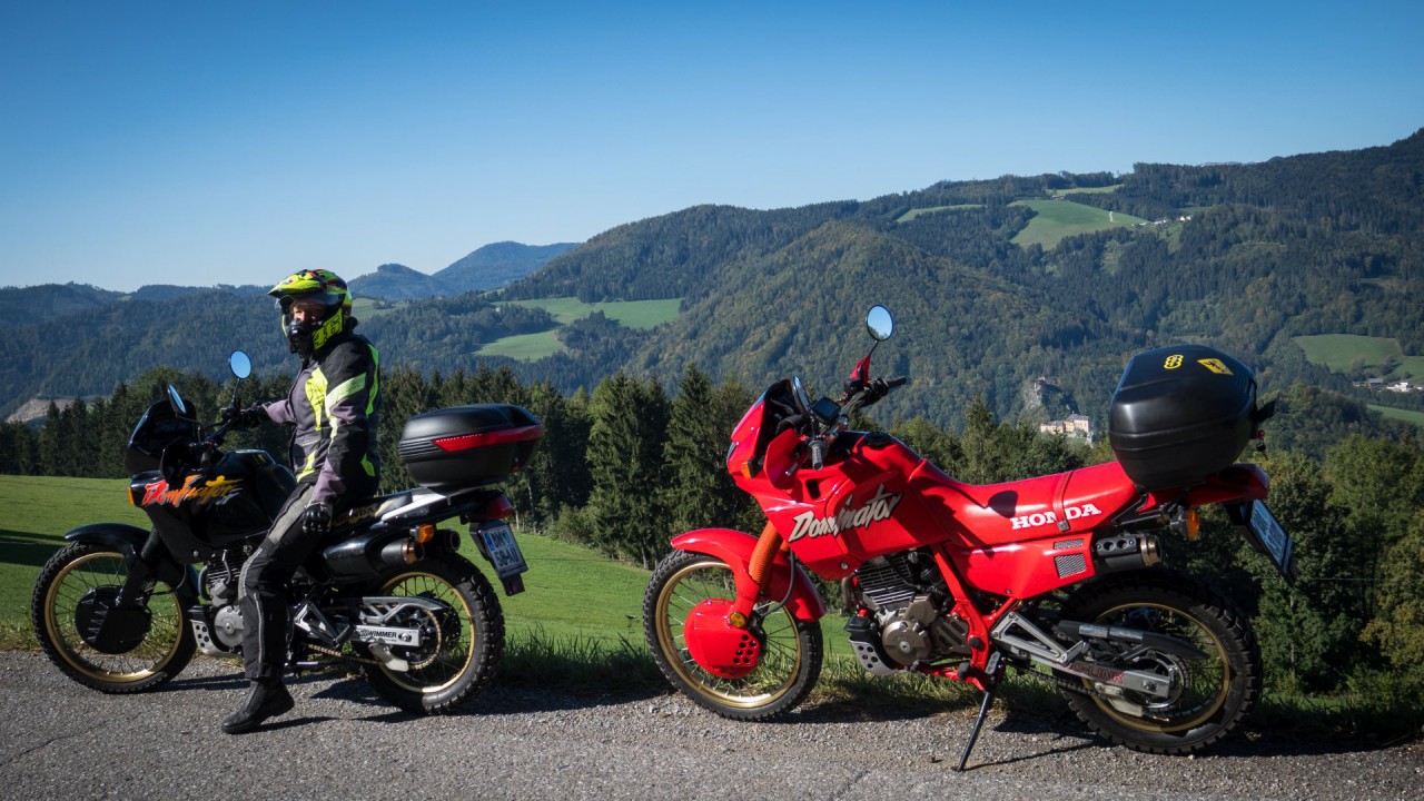 Dominator rot schwarz_27.jpg