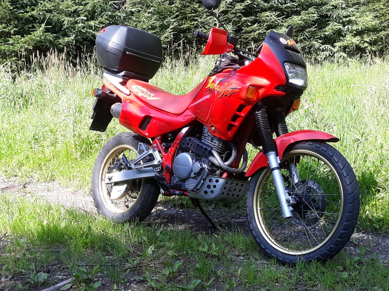 20210723_163353.jpg (4.35 MiB) 3271 mal betrachtet Gestern im Wald unterwegs