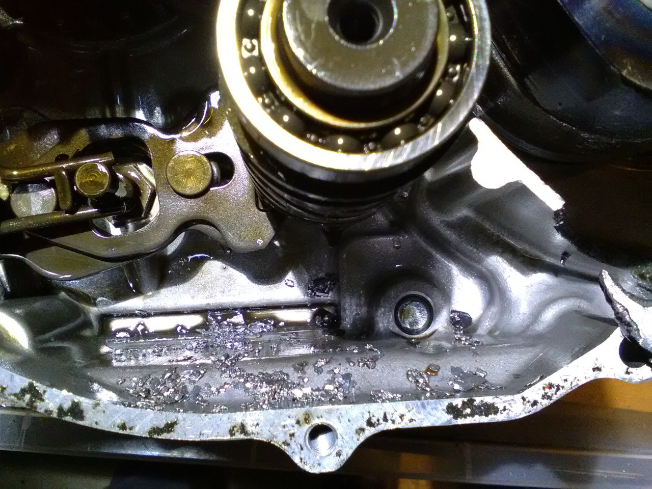 IMG_20180121_153317.jpg (1.99 MiB) 3203 mal betrachtet IMG_20180121_153317.jpg