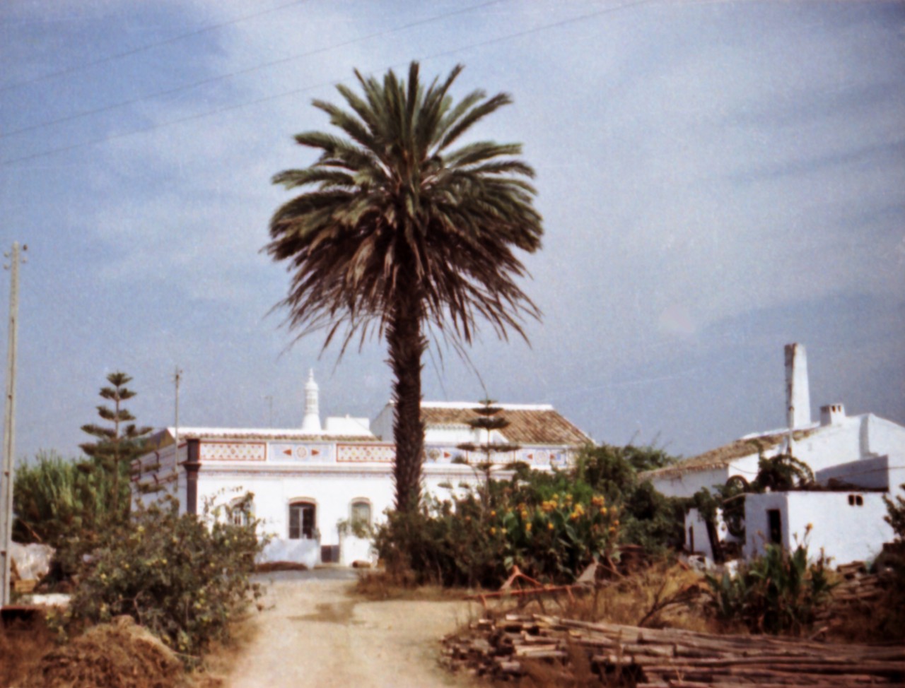 Quinta irgendwo am Straßenrand