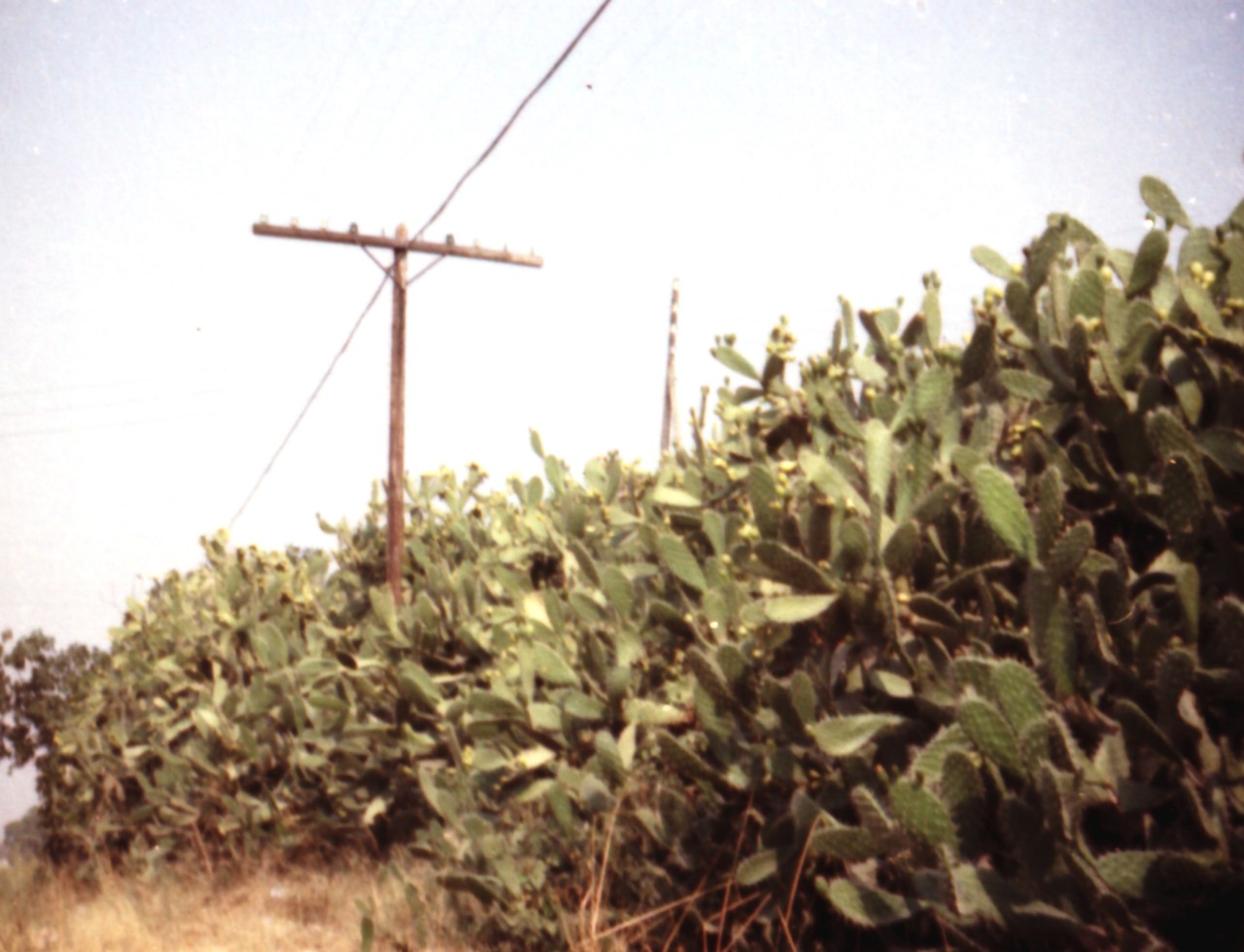 Spanien_30.jpg (624.58 KiB) 4655 mal betrachtet Boah eh!!!