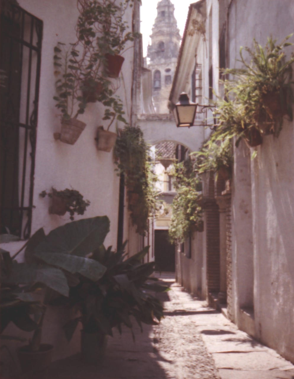 Gasse mit Turm der Mezquita-Moschee im Hintergrund