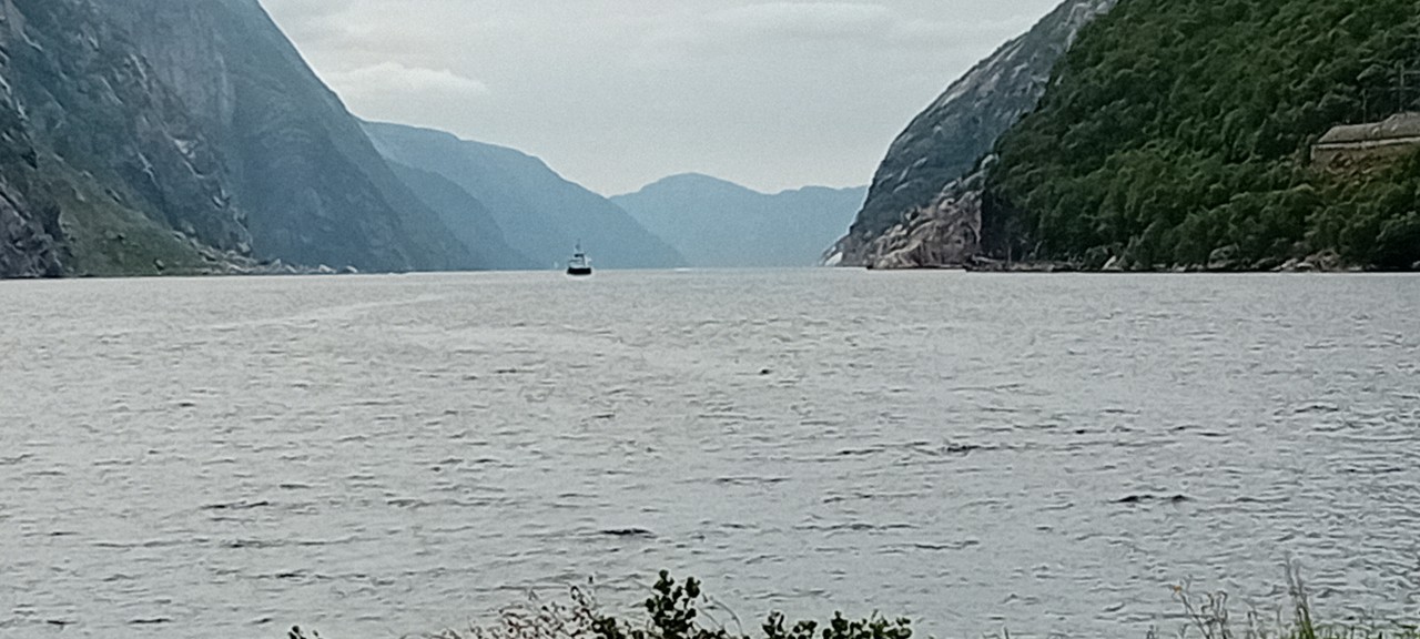 Resizer_17200174366739.jpeg