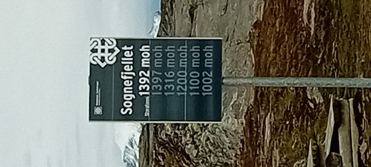 20240706_180613.jpg