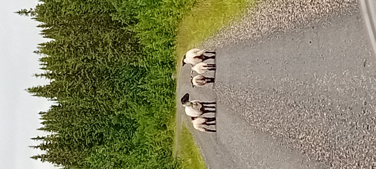 20240707_124743.jpg