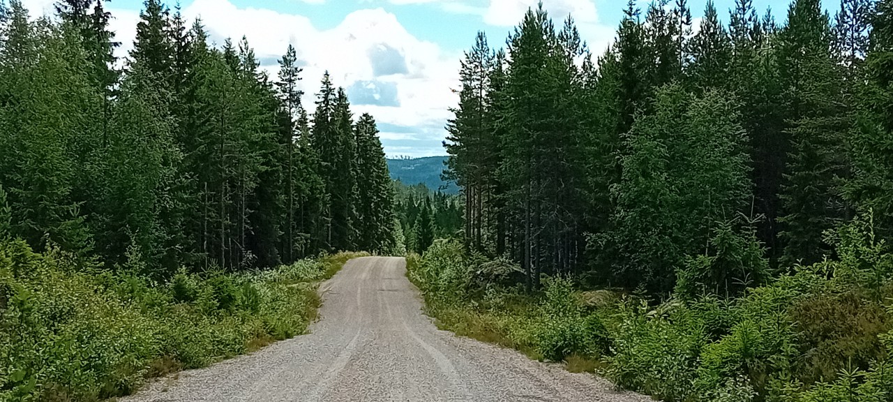 20240708_122328.jpg