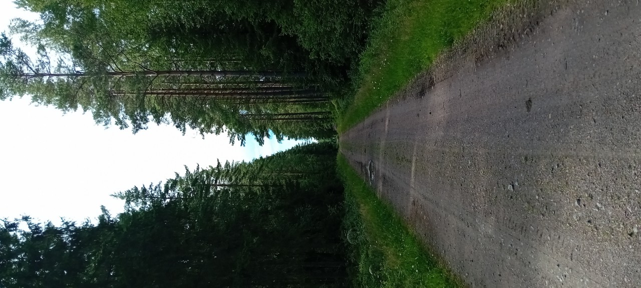 20240709_174258.jpg