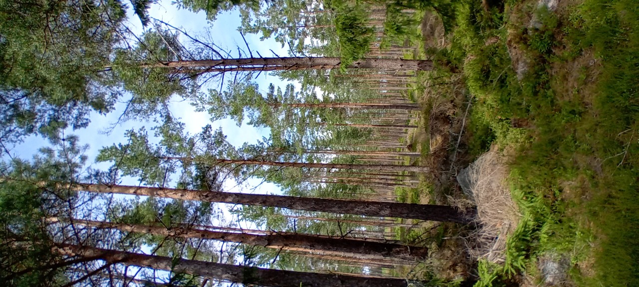 20240710_131310.jpg
