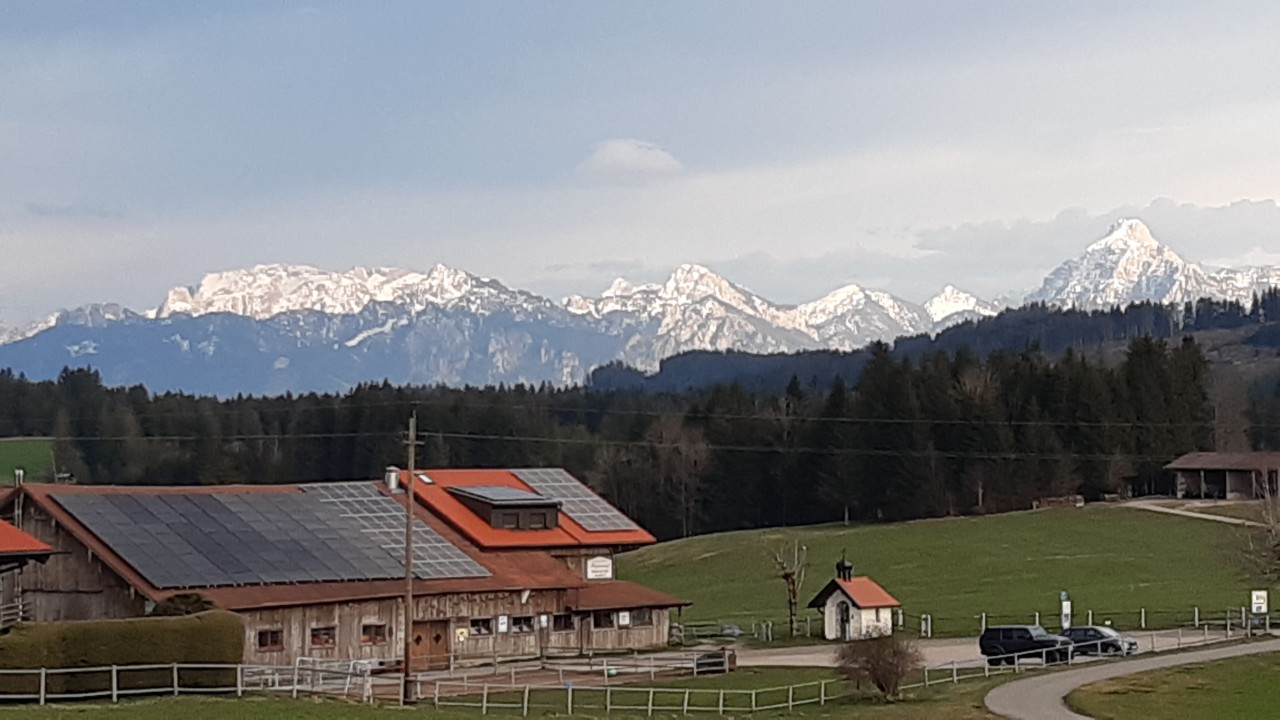 20250405_185940.jpg