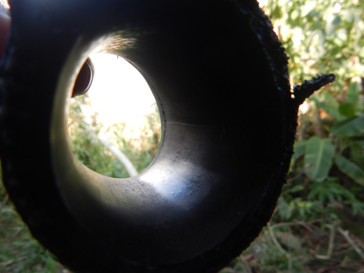 DSCN3371.JPG