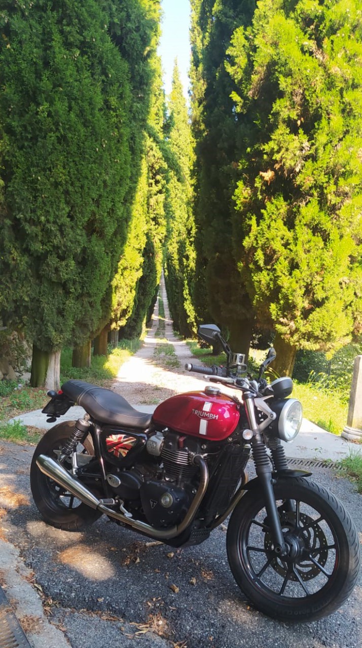 viale1.jpeg