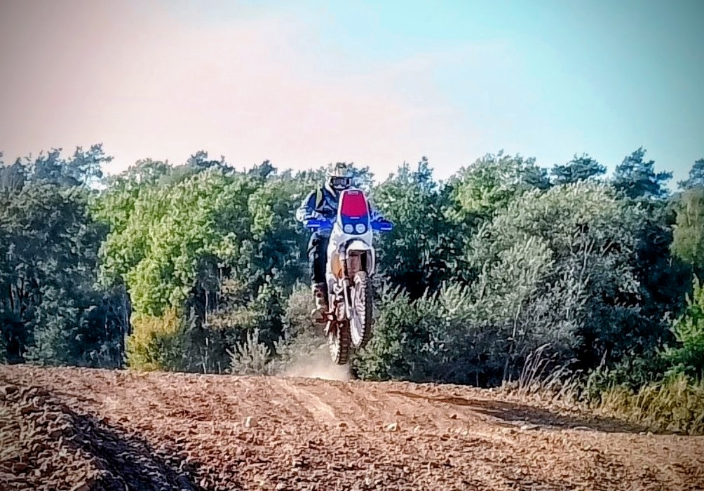 Domi fliegt