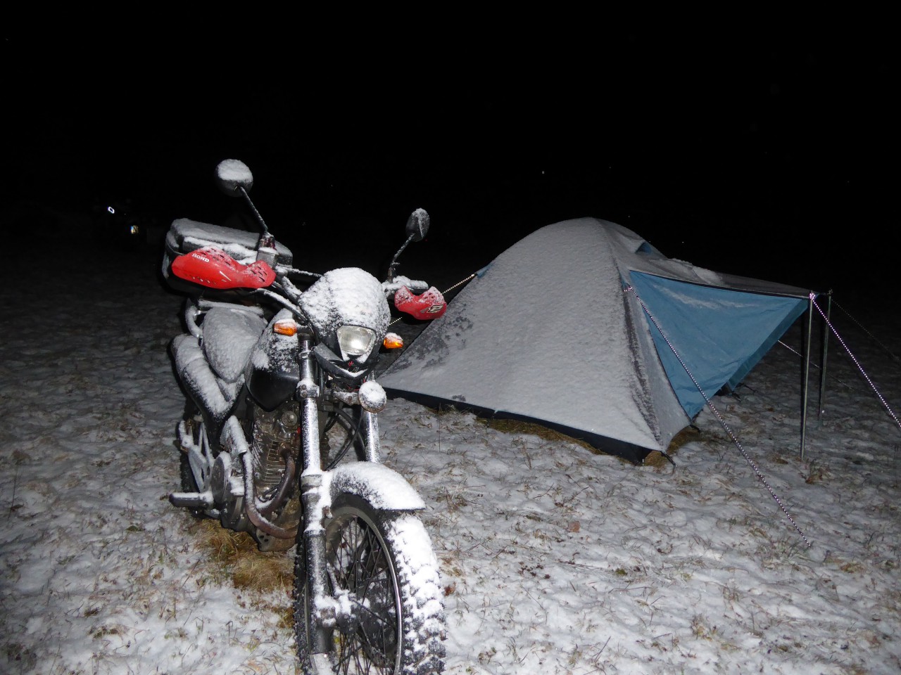 006 Schneefall am abend.JPG