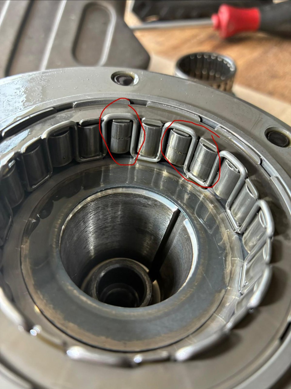 WhatsApp Image 2026-04-04 at 18.01.37.jpeg