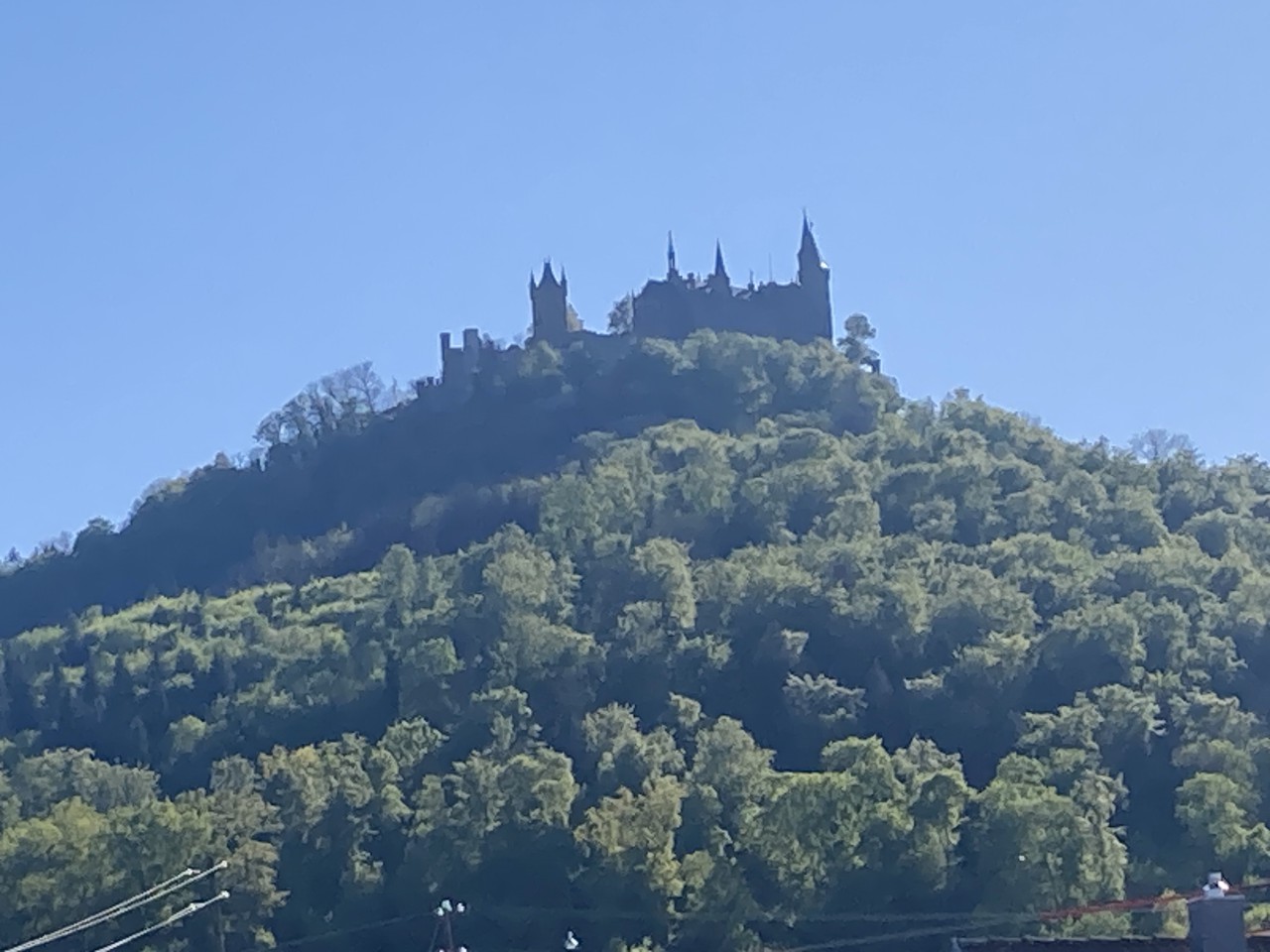 IMG_7941.jpeg