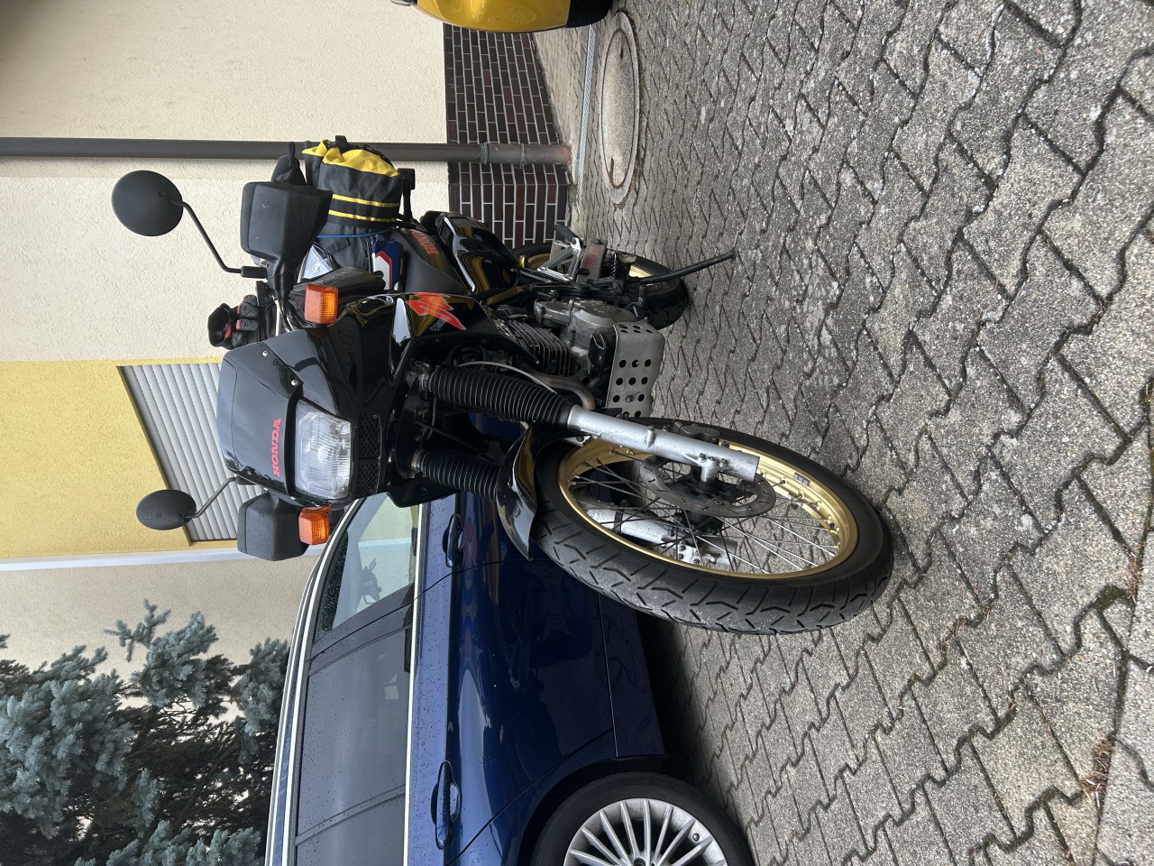 IMG_8981.jpeg