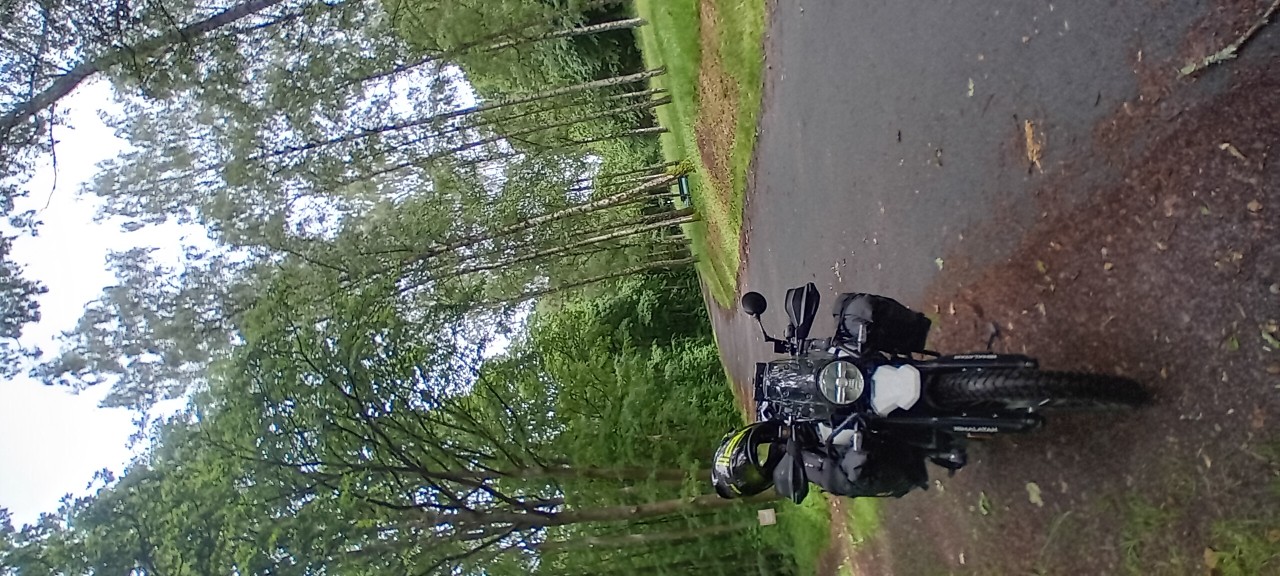 20260604_143705.jpg