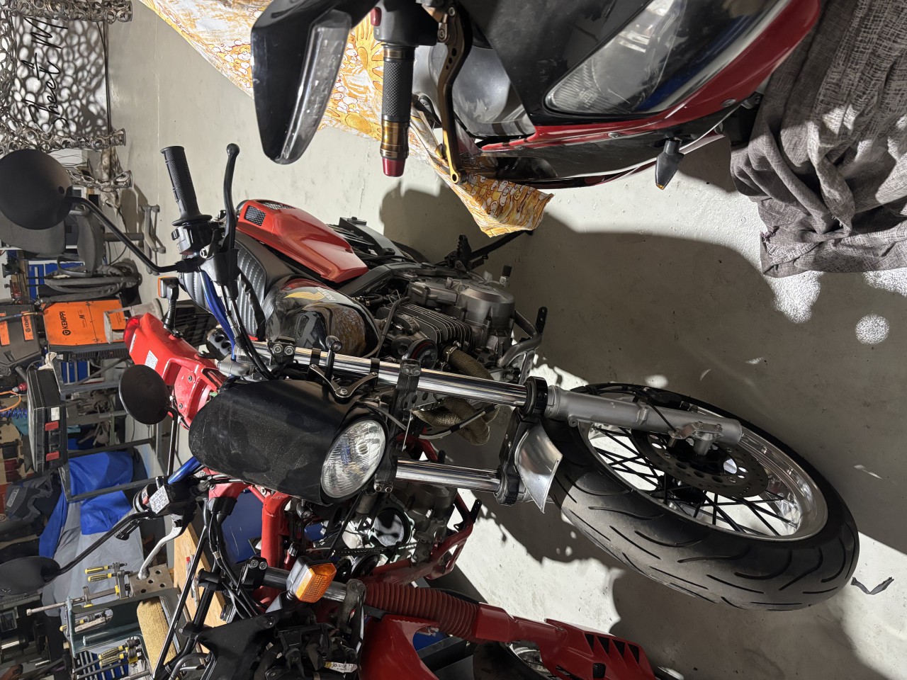 IMG_2960.jpeg