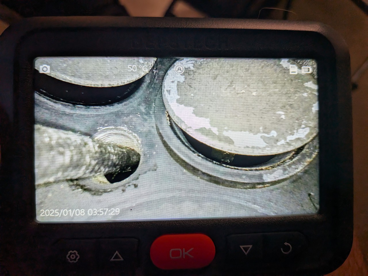 PXL_20260731_182301734.MACRO_FOCUS.jpg