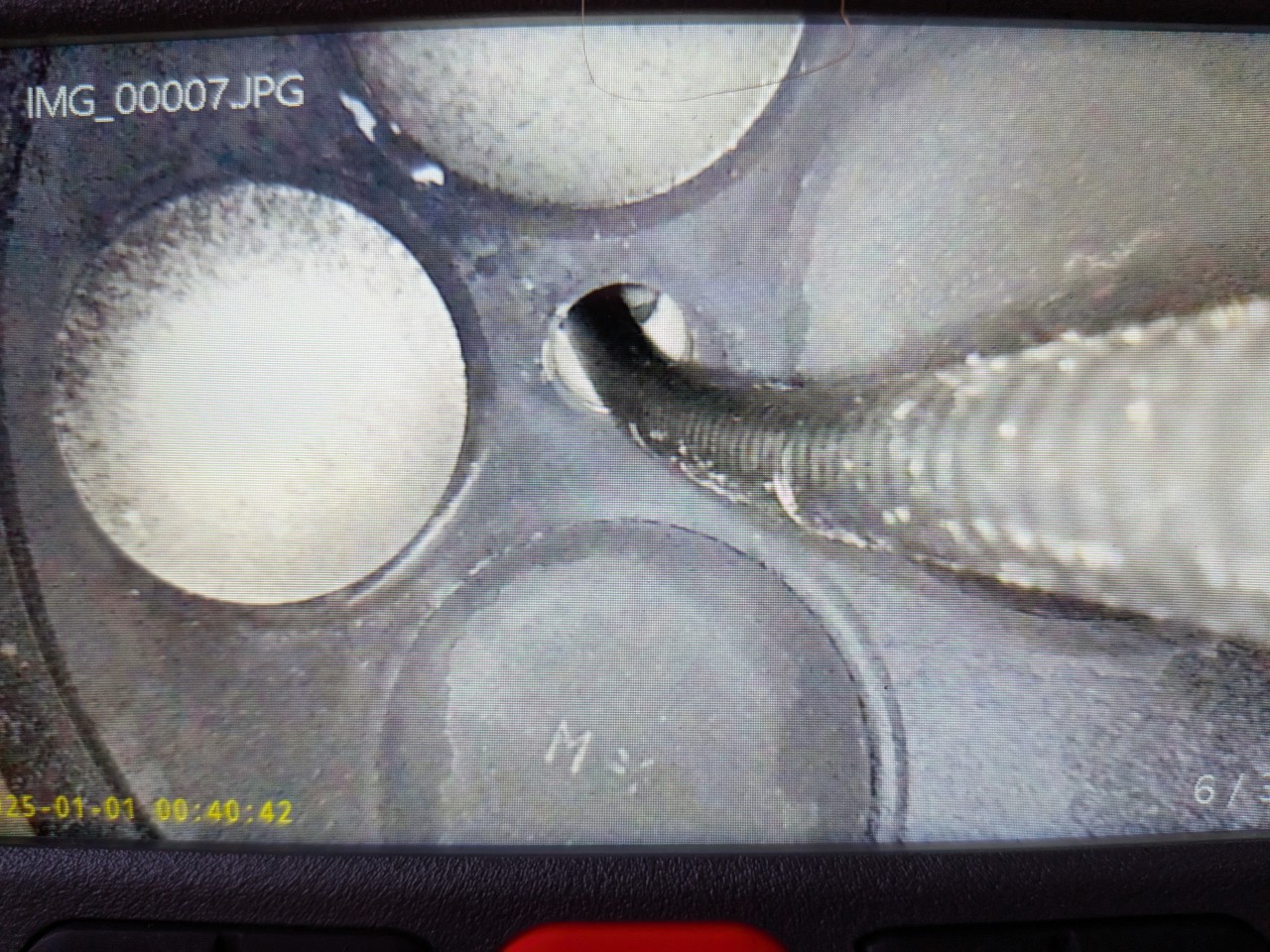 PXL_20260724_153804161.MACRO_FOCUS.jpg