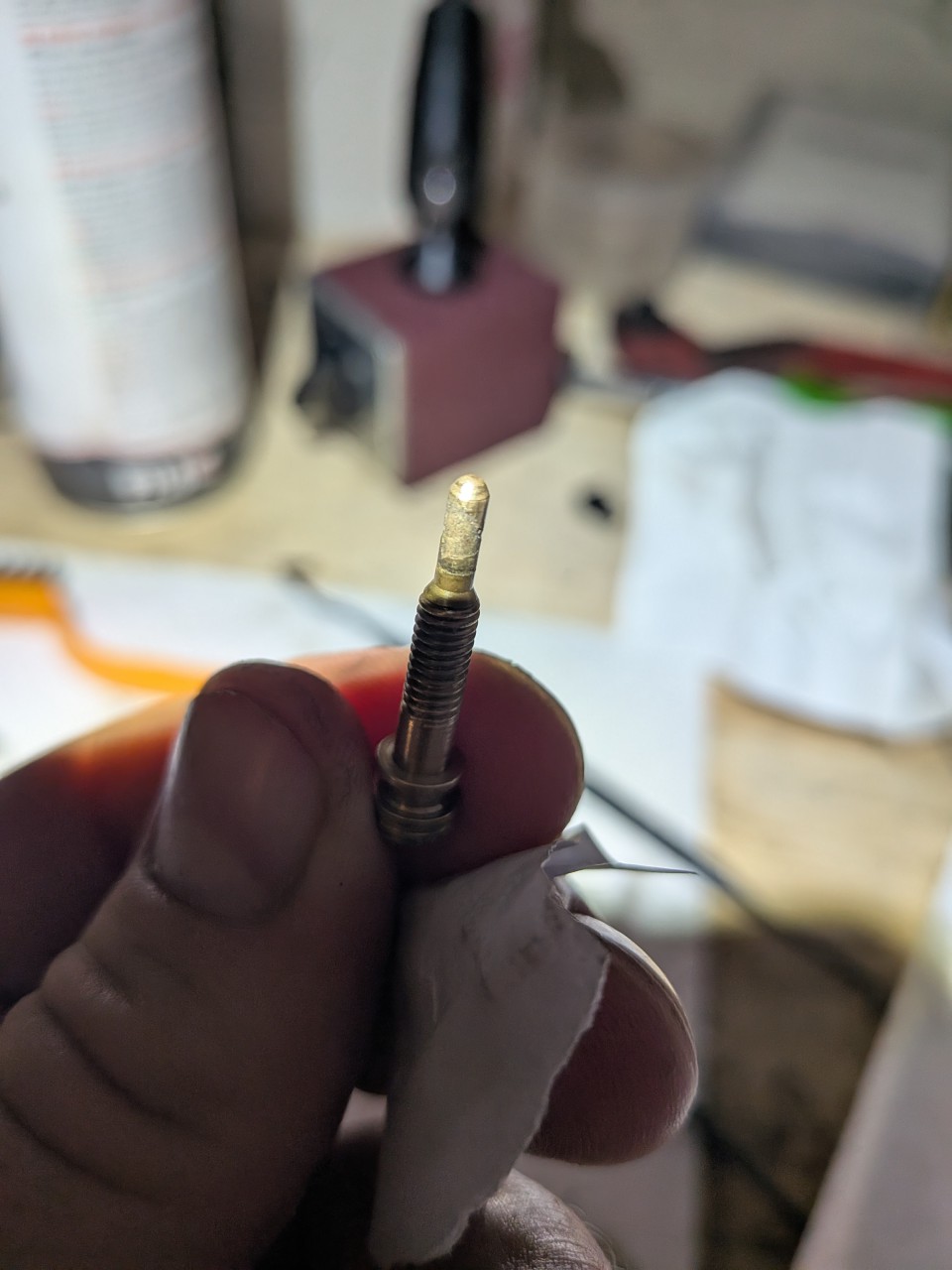 PXL_20260820_171836524.MACRO_FOCUS.jpg