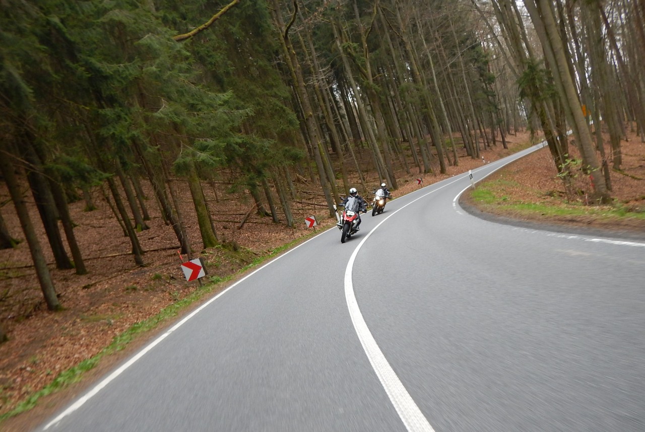 DSCN6513.jpg