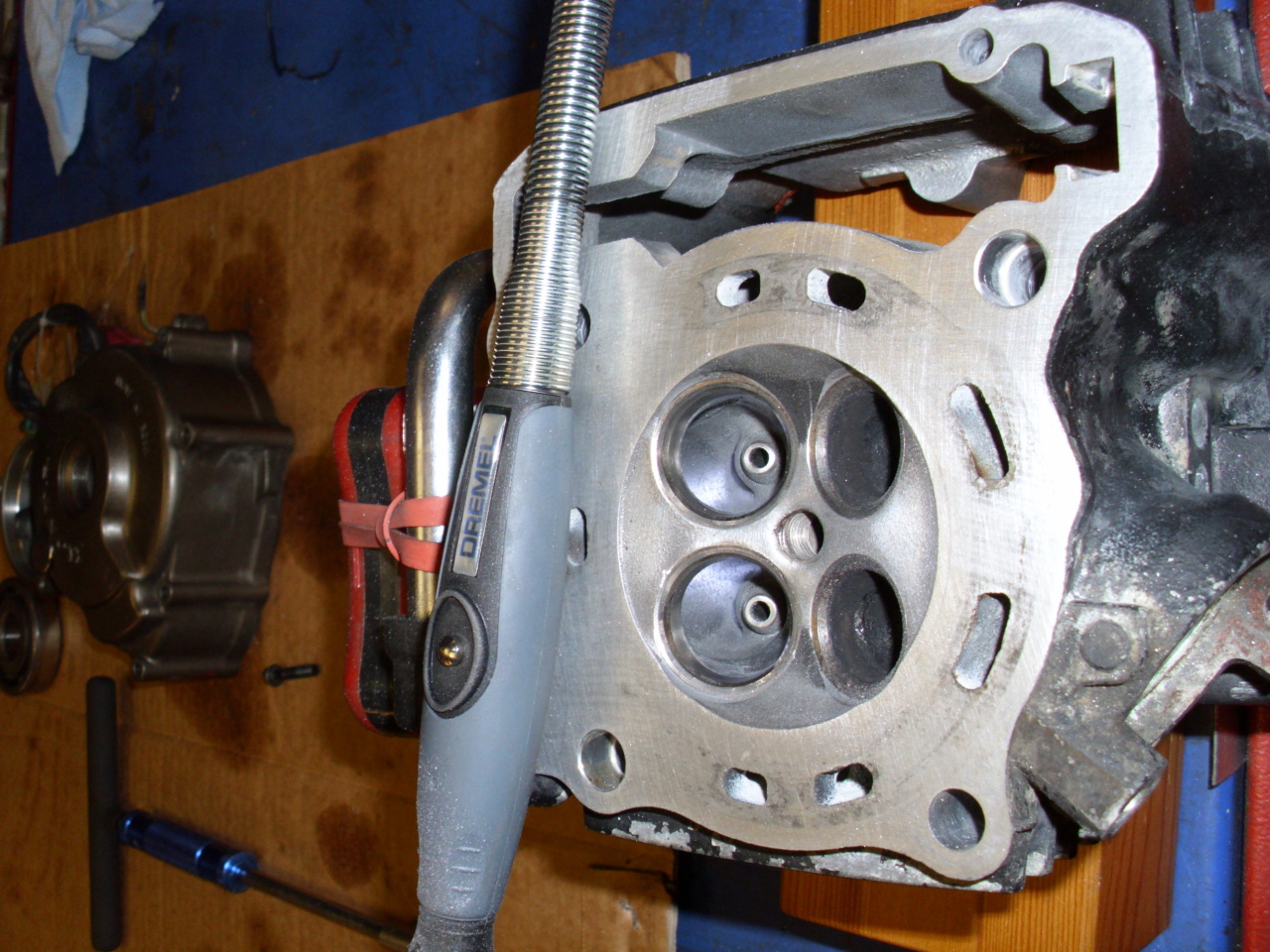 DSCI0261.JPG