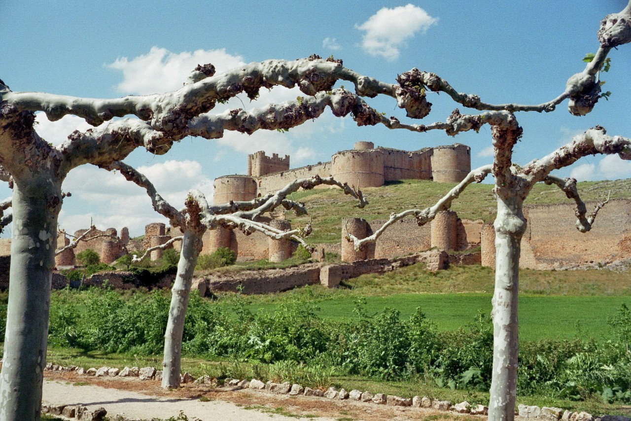 Berlanga de Duero