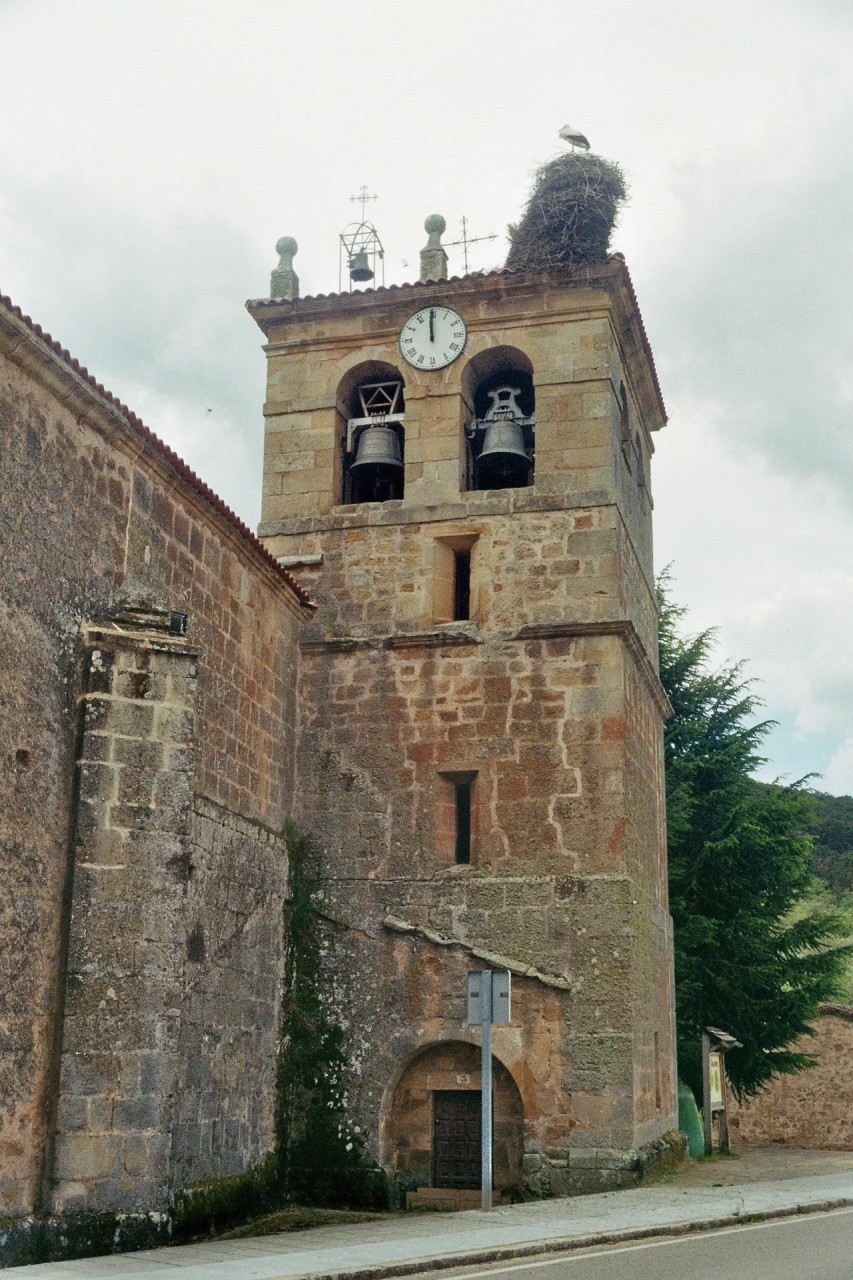 Storchennest in Salduero