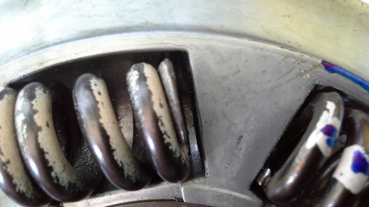 20190310_070403.jpg