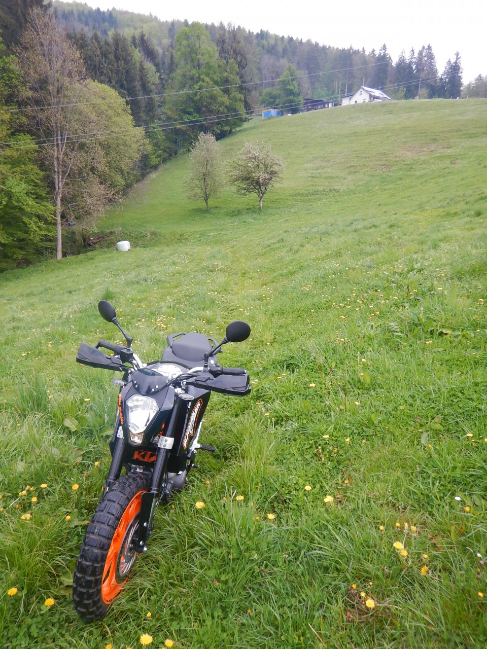 DSCN7018.JPG