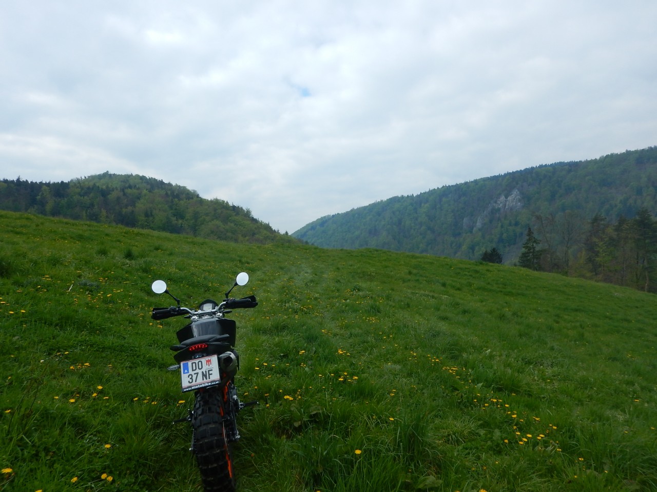 DSCN7016.JPG