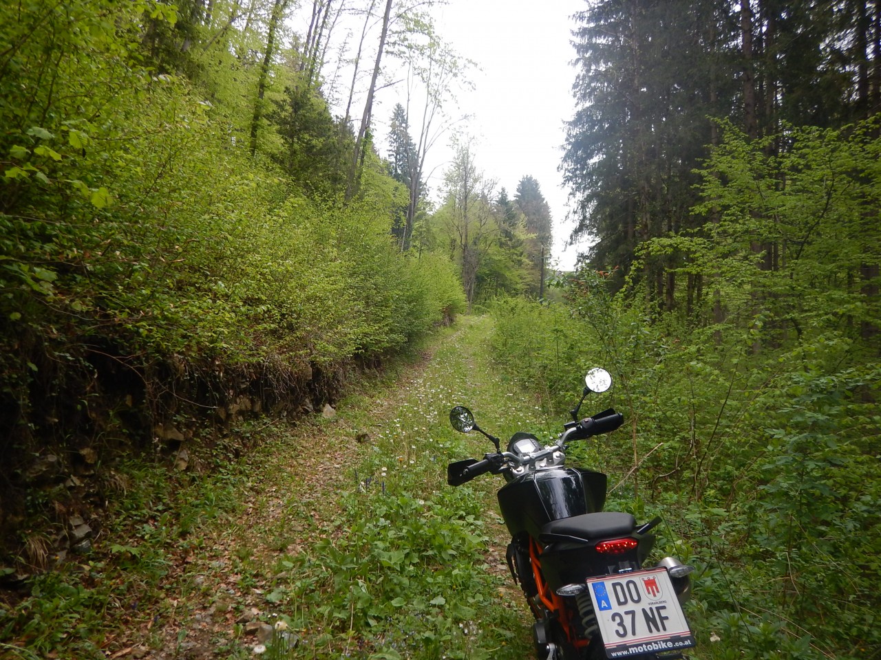 DSCN7015.JPG