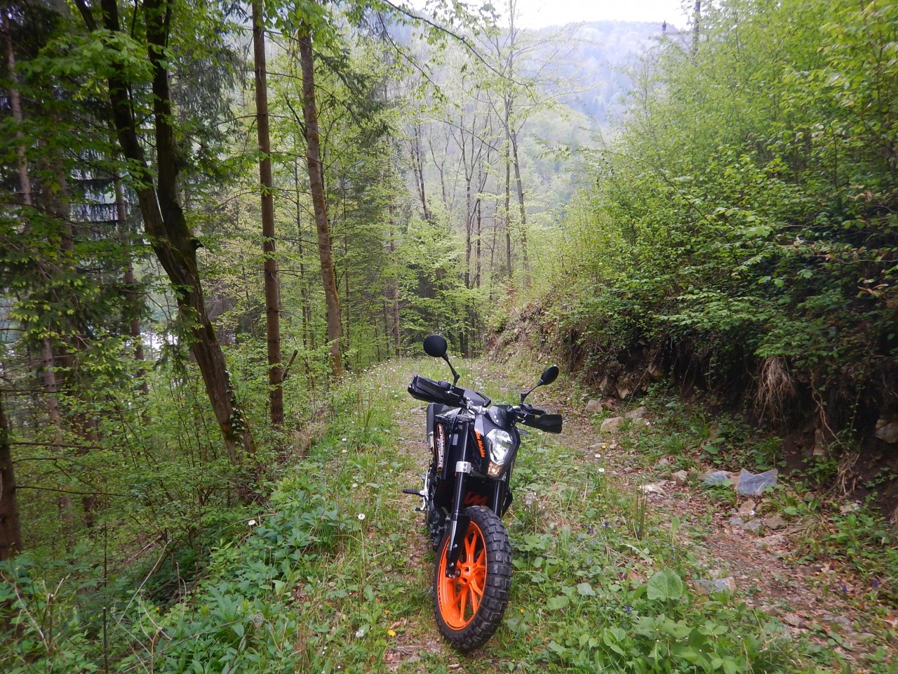 DSCN7014.JPG