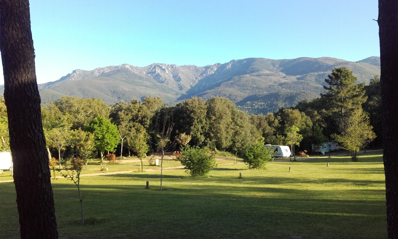 Morgenstimmung am Campingplatz